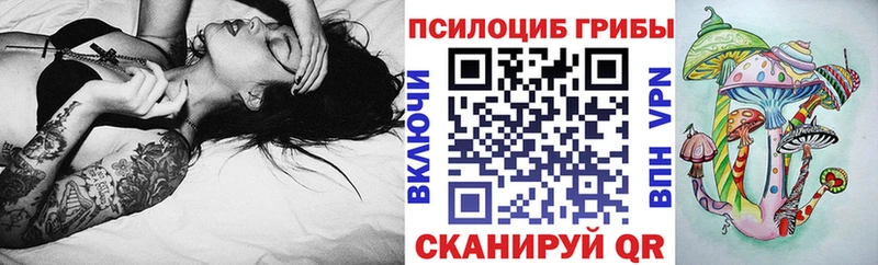 Купить где  Иланский  Псилоцибиновые грибы GOLDEN TEACHER 